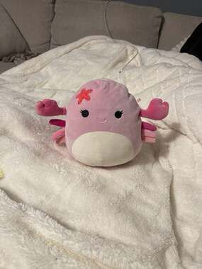 Squishmallows Cailey the Pink Crab with Red Starfish Sealife Squad Plush